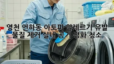 영천 언하동 아토피, 알레르기 유발 물질 제거! 실내 공기 정화 청소
